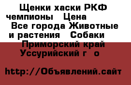 Щенки хаски РКФ чемпионы › Цена ­ 90 000 - Все города Животные и растения » Собаки   . Приморский край,Уссурийский г. о. 